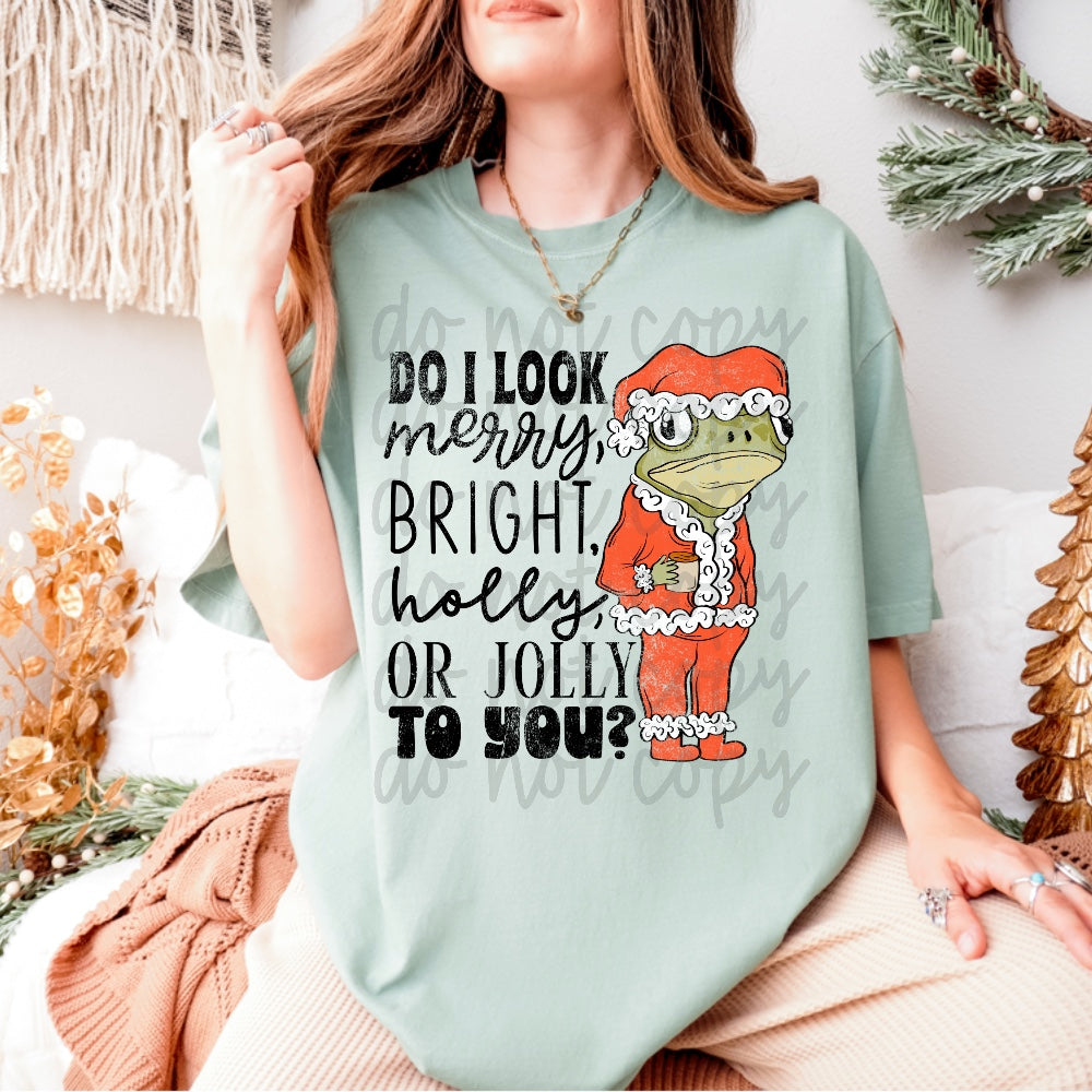 Do I Look Merry To You? image 0