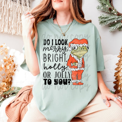 Do I Look Merry To You? image 0