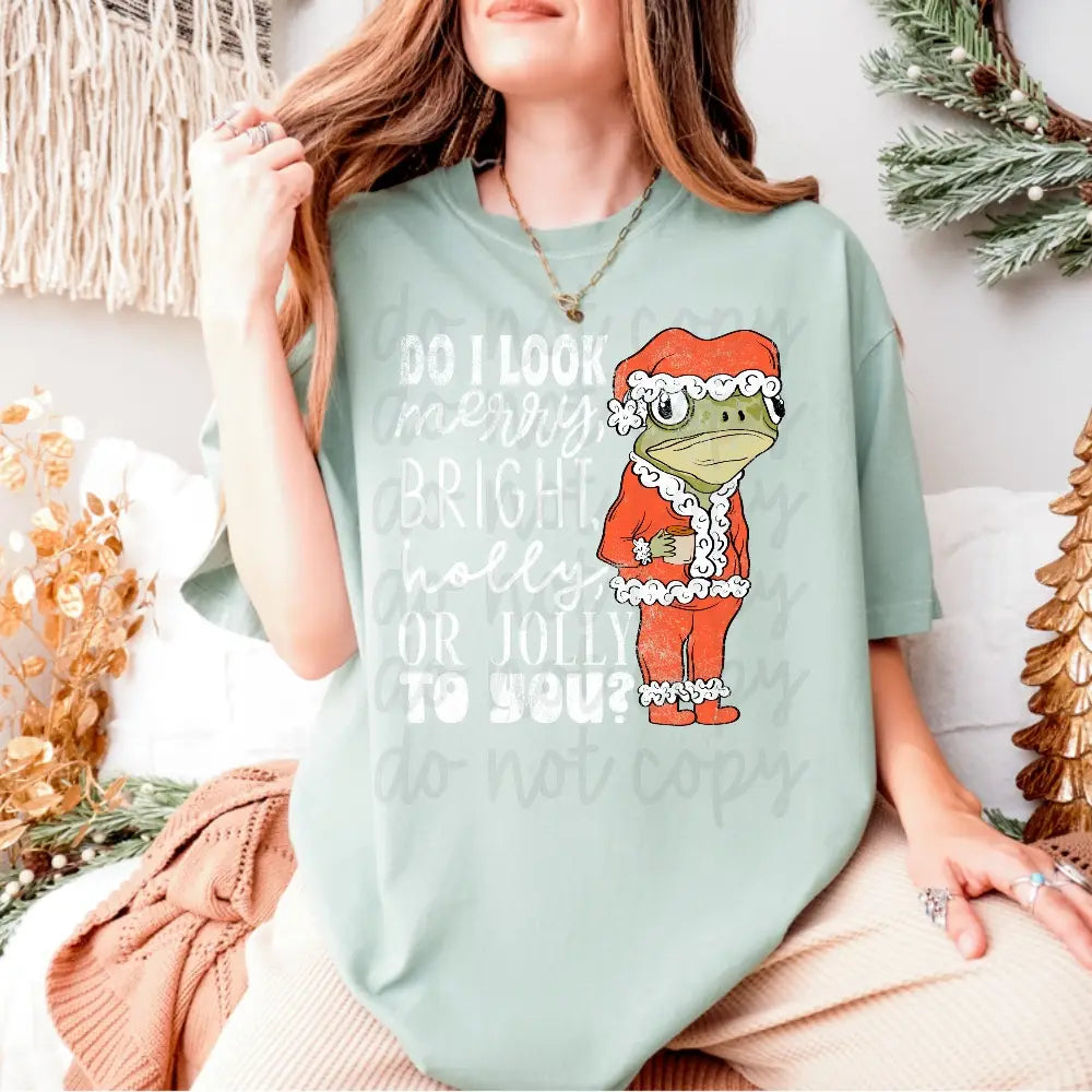 Do I Look Merry To You? image 2