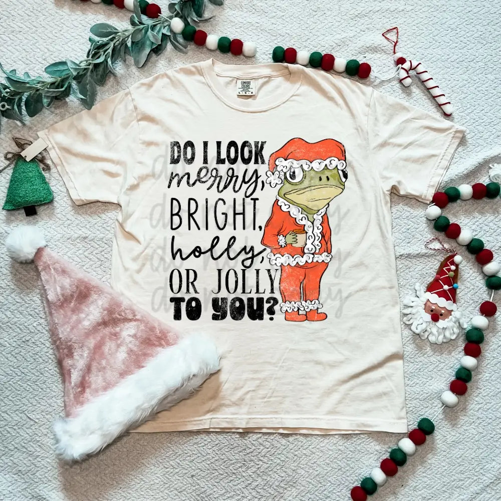 Do I Look Merry To You? image 1