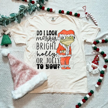 Do I Look Merry To You? image 1